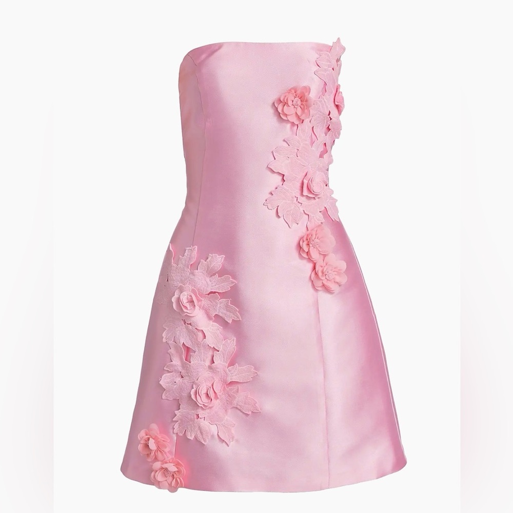 Elliatt floral appliqué mini dress